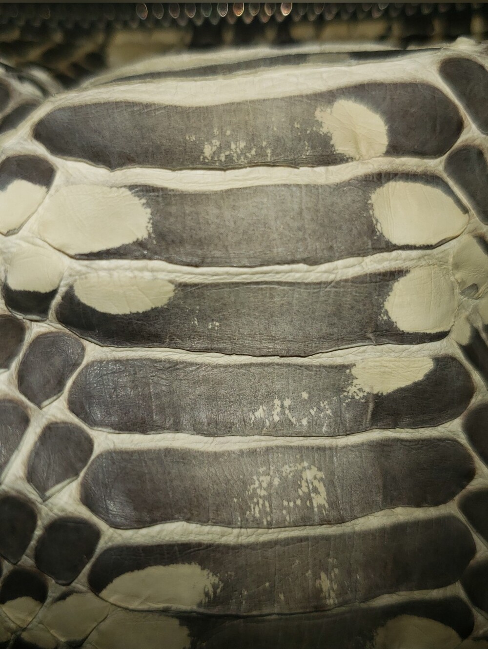 Genuine Beautiful Super Soft Whip snakeskin Tote In Natural Biege And Black  M